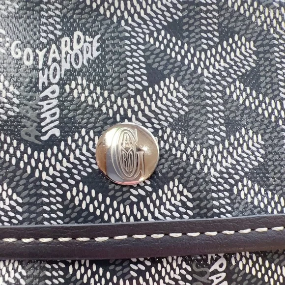 Goyard 2023 Goyardine St. Louis PM w/ Pouch - Picture 6 of 6